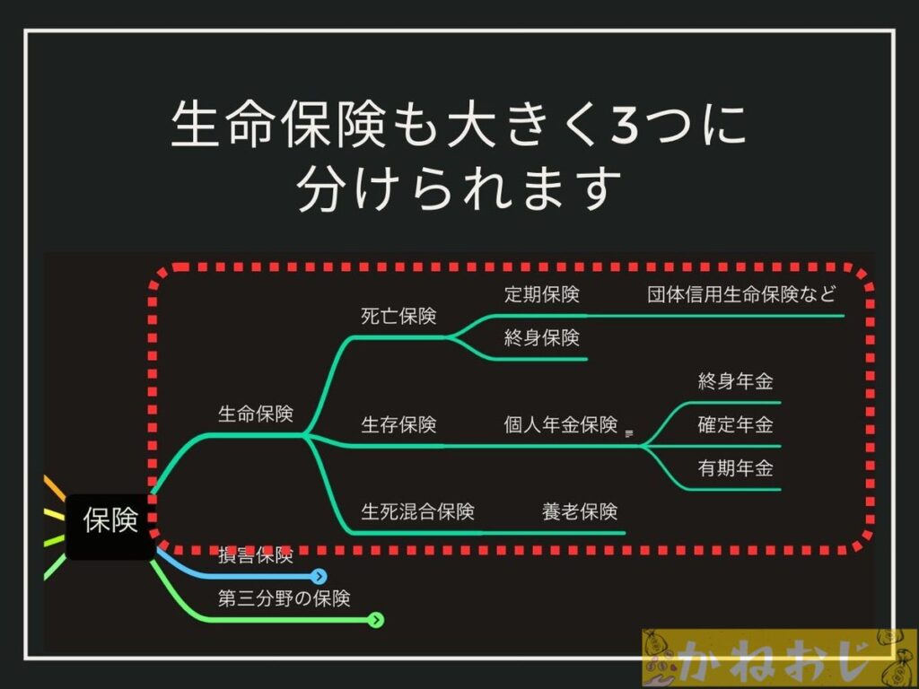 生命保険の種類